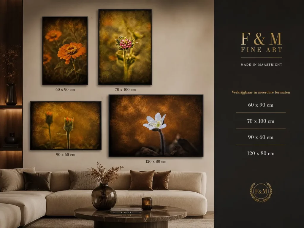 macro-wanddecoratie-verborgen-parels 5 Macro Verborgen Parels van F&M Fine Art in meerdere formaten als luxe macro wanddecoratie voor de woonkamer